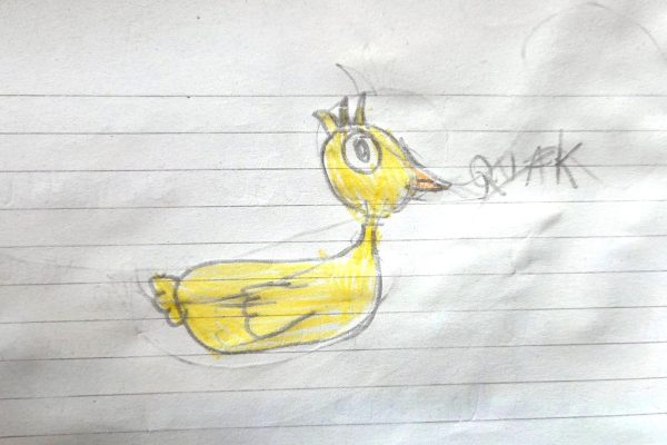 Poesia: La papera Sole