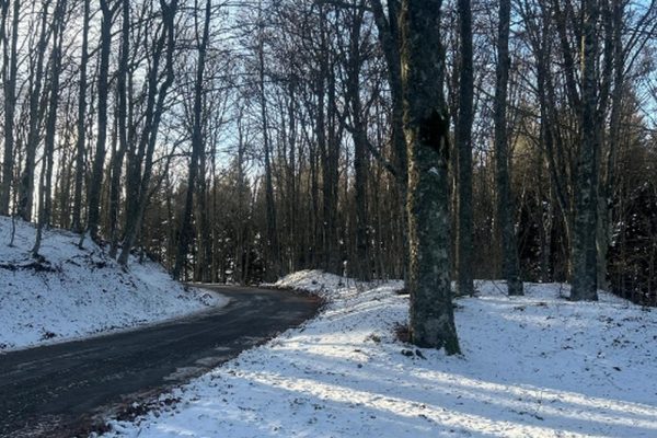 La prima volta sulla neve!!!