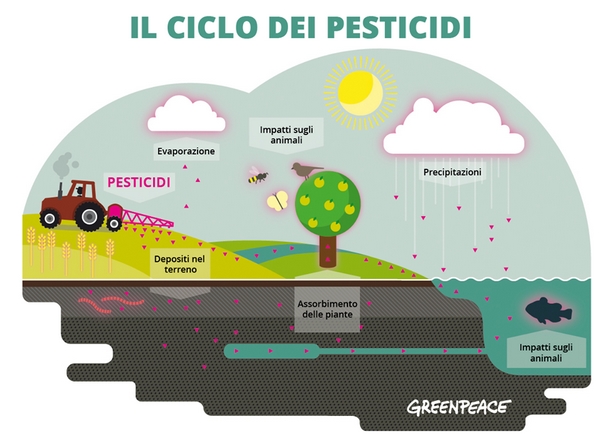 Disegno del ciclo dei pesticidi