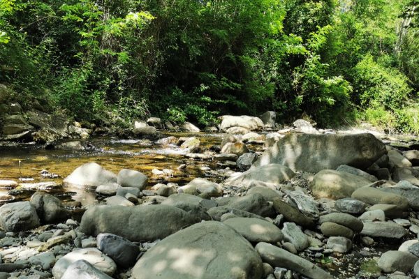 Una gita al torrente Rassina