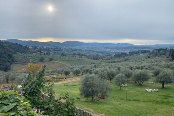 Una gita alla Fattoria di Maiano