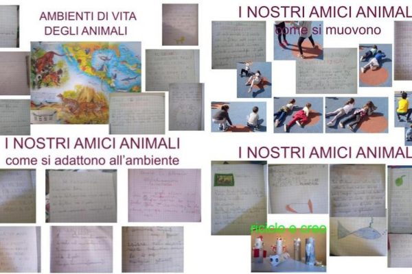 GLI ANIMALI, NOSTRI AMICI