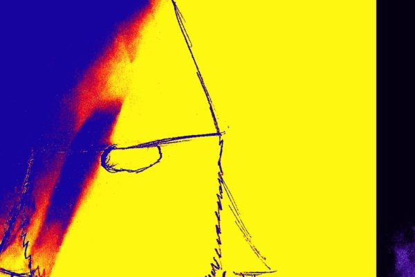 La foresta incantata