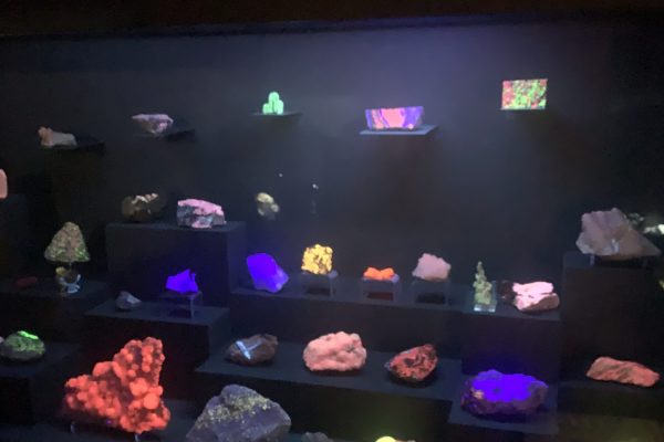 Gita al museo della Specola