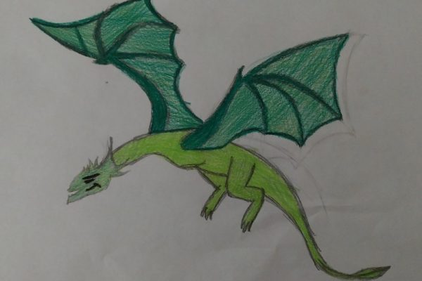 Il bosco di Elfolandia