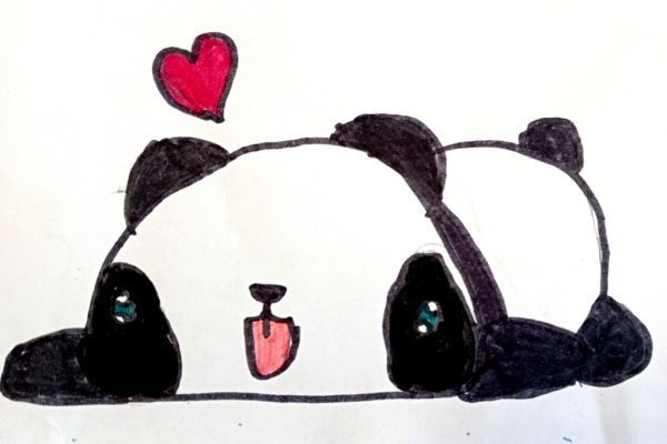 Animali buffi e tenerissimi