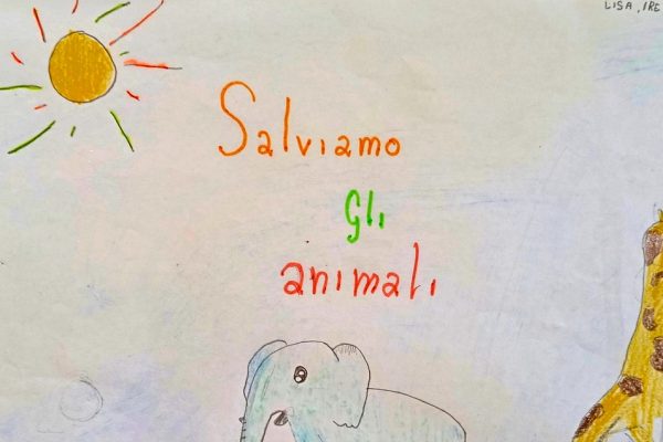 Salviamo gli animali!