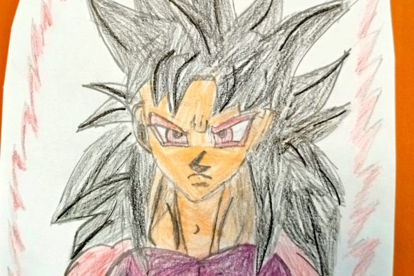 VI PRESENTO DRAGON BALL