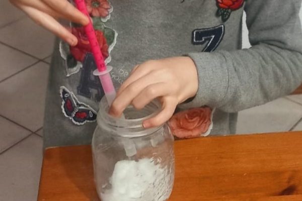 IL DIARIO DI UN PICCOLO SEME