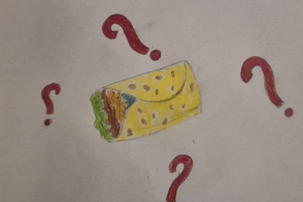 IL BURRITO SCOMPARSO