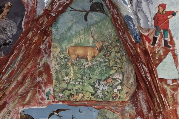 L’ambiente montano