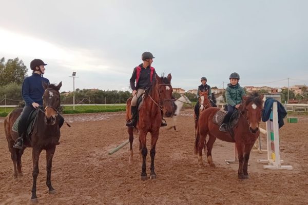 Galoppo, doccia e carota: la vita da sballo del mio cavallo