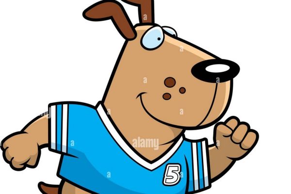 Un portiere per Viola