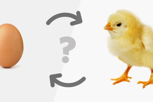 È nato prima l’uovo o la gallina?