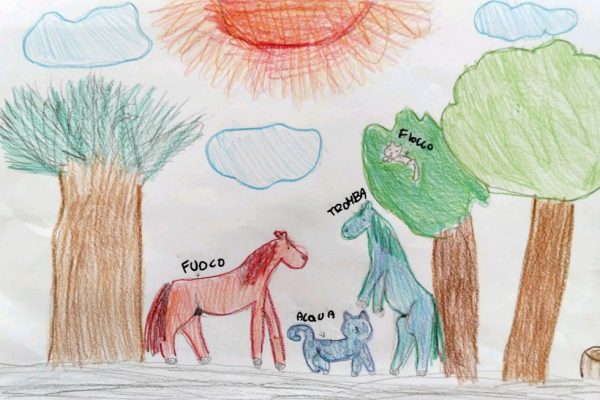 UN NUOVO DIVERTIMENTO