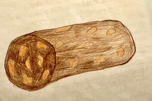 Il salame di cioccolato