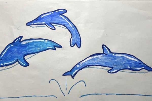 L’acquario di Genova