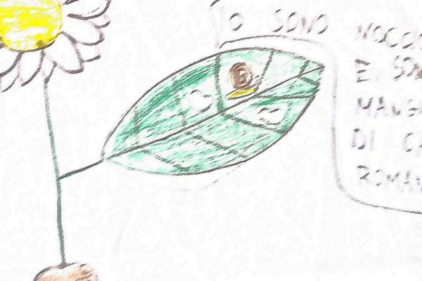 La chiocciola Nocciolina