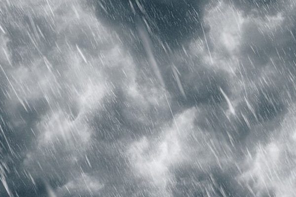 La delusione della gita al Museo