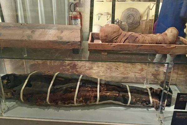 La gita al museo Archeologico di Firenze