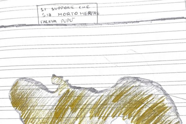 Una vacanza da sogno!